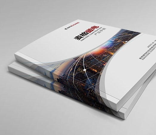 늿Ƽ麣޹˾---2021I(y)(hu)